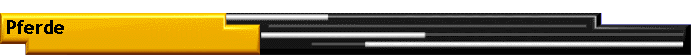 Pferde
